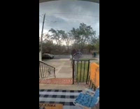 Trampoline blown by wind rolls on street