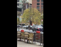 Grey jacket guy balances ball on head