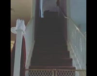 Slowmo Grey Pitbull Runs Down Stairs and Jumps Over Gate