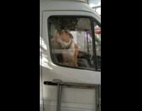 Brown white dog inside van licks window