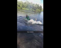 Girl green swim suit swan attack lake