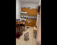 Collab WINY - Drain snake from neighbor sink inside house Part 1