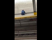 Collab Subway Creatures - Man do sit ups in subway platform