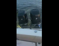 Guy tries to get onto floating buoy 