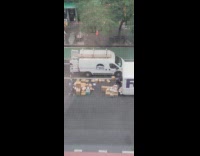 Collab WINY - FedEx delivery man throw boxes on street