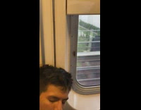 Big cockroach on window of train 