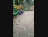 Man trips and hit head on bench