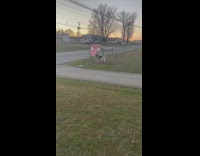 Goat breaks sign about him up for sale