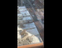 Drawing of penis on snow on roof