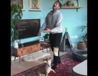 Guy dog play with toss white balloon 