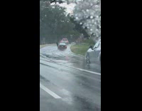 Collab winy - Car drive on highway with open door