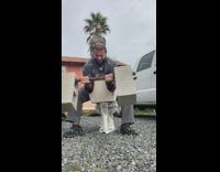 Guy bicep curls with cinder blocks