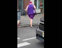 Dog with purple orange fur walk street