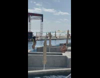 Woman beach concert pool picture