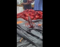 Collab BitchMP - Crawfish raises arms in front of crawfish seafood boil 
