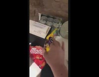 Guy touches plastic bag white dog appears 