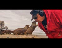 Man kisses and gives food to squirrel