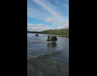 ATV truck sinks in lake 