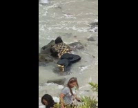 Black mermaid tail beach rocks red dress 
