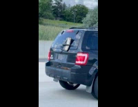 Car with plate number on the wiper