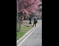 Long orange dress girl cherry blossom tree