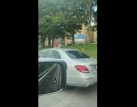 2 dolls peep head out of sunroof 