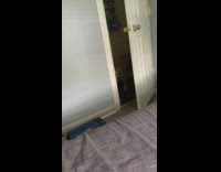 Pet dog hides inside the closet to avoid bath