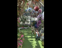 Indoor garden white dress sphere flower decoration 