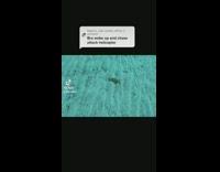 Collab ClipsIG - Crab turns into helicopter 