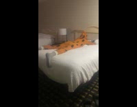 Man at hotel room wearing cheetah printed onesie 