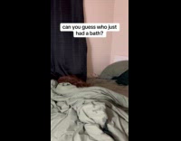 Dog drying wet fur on bed 