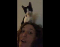 Cat Sees Itself on Camera and Stares at it