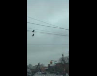 Woman reacts at boots hanging at wires