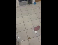 Slipper floats in apartment from flood 