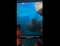 Kid compares dad to manatee