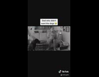 Security camera catches dad petting two dogs