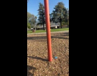 Man spilling tea while on swing