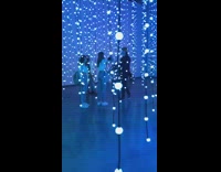 People take photos with string lights exhibit 