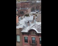 Collab WINY - Silver cow statue on the rooftop building