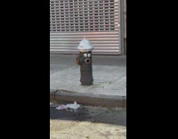 Fire Hydrant has a Shocked Face 