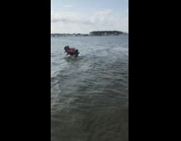 Dog runs into water with life vest