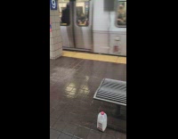 Empty container of milk on floor at subway station