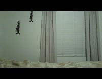 Gengar pokemon plushy appear on bed