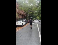 Man riding one wheel on street 