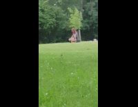 Two girls lean sideways park grass windy