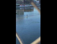 Person rides paddle board across river bridge 