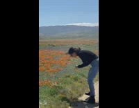 Black shirt girl bends over orange flowers 