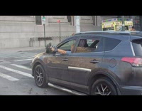 Car driver plays with pigeons 