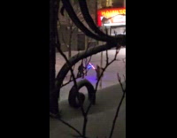 Two guys lightsaber fight during snow night