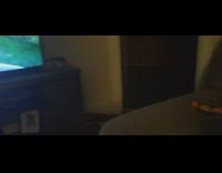 Collab DailyDoseOfInternet - Cat on sofa watch DDOI mantis TV